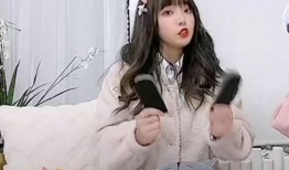 网红黑料是什么意思 黑料是什么,网络舆论下的真相与误解